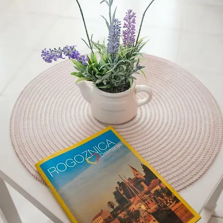 Gloria * פרימוסטן