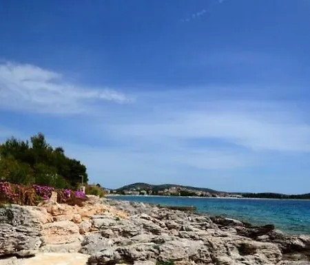 Gloria * פרימוסטן